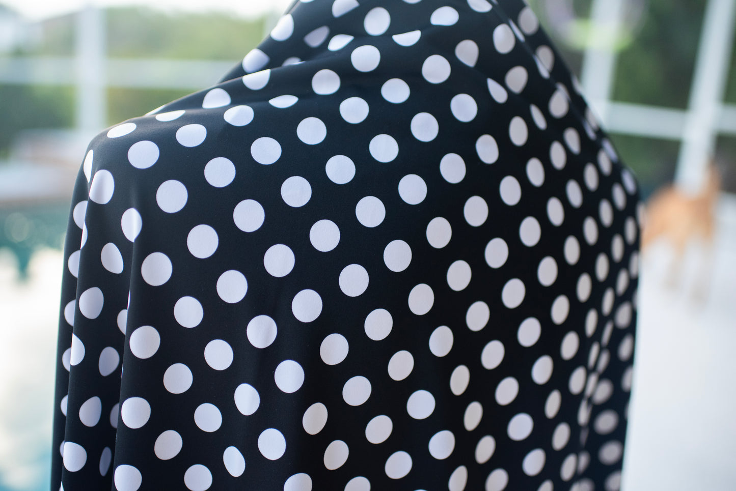 Let's Polka Dot