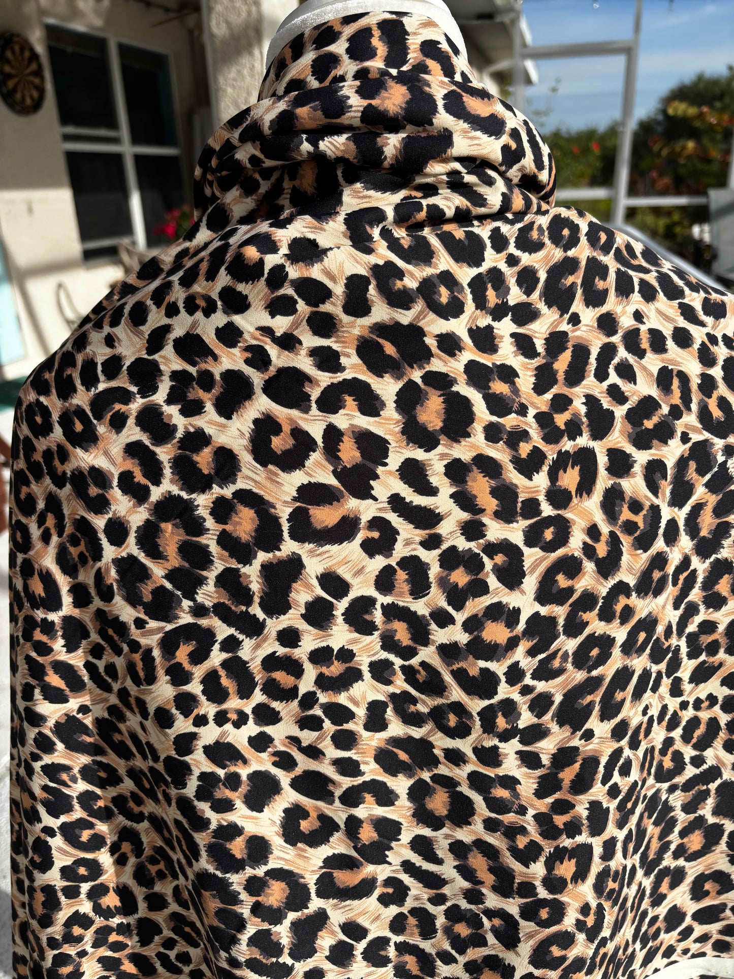 Golden Coast Leopard
